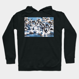 Crowded Takeoff Hoodie